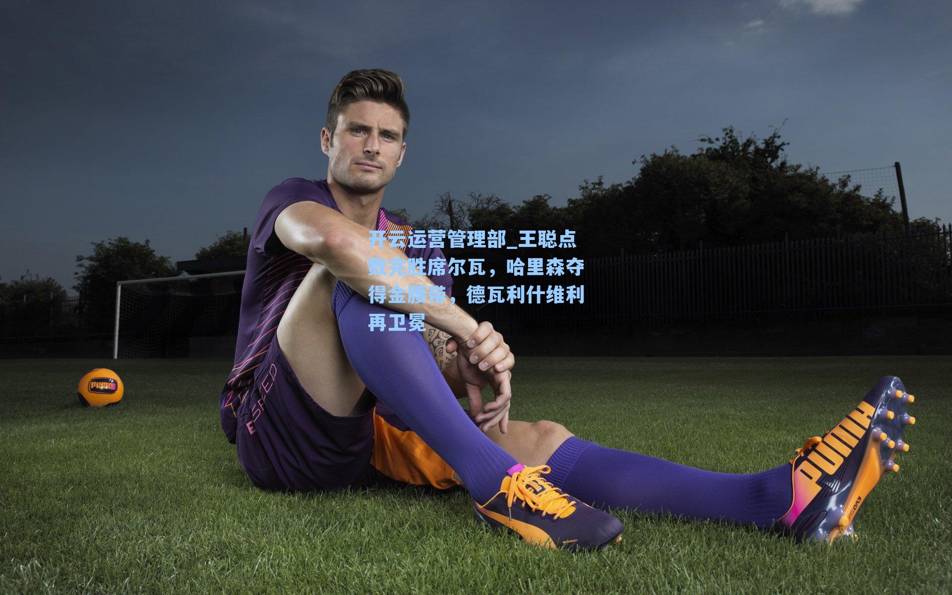 王聪点数完胜席尔瓦，哈里森夺得金腰带，德瓦利什维利再卫冕