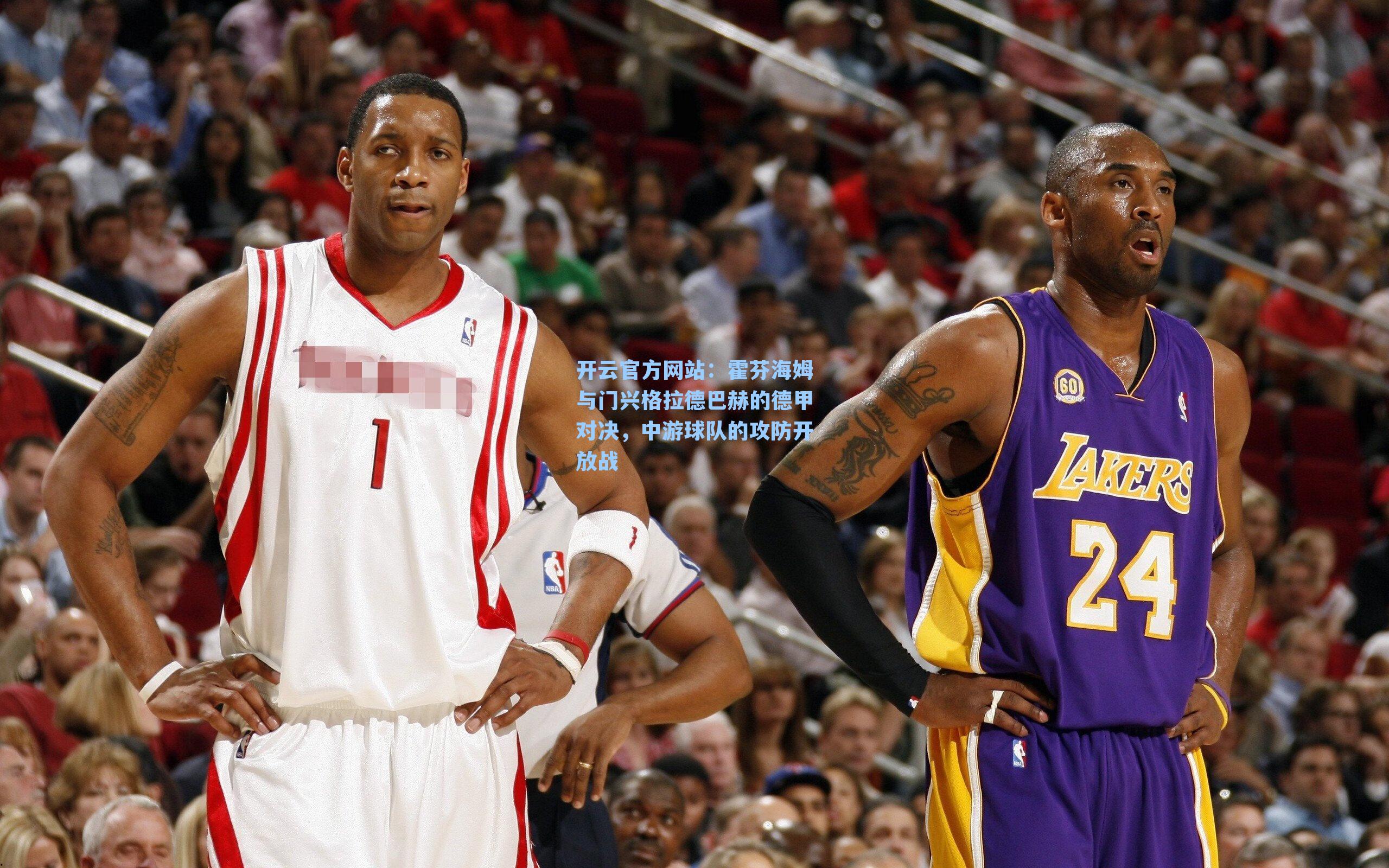 霍芬海姆与门兴格拉德巴赫的德甲对决，中游球队的攻防开放战